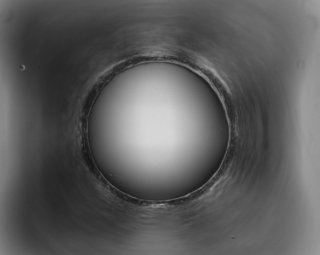 X0000093101304200709260920