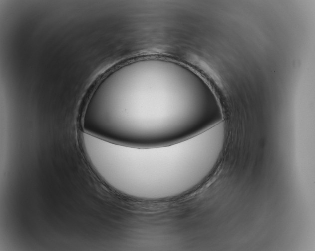 X0000093101308200709260920