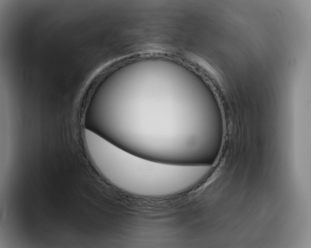X0000093101310200709260920