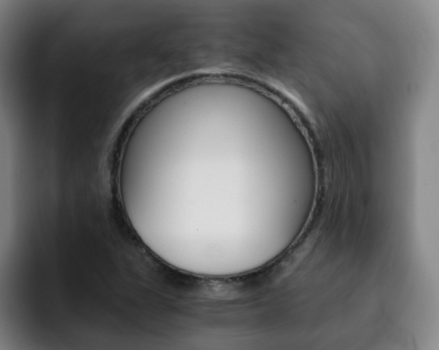 X0000093101311200709260920