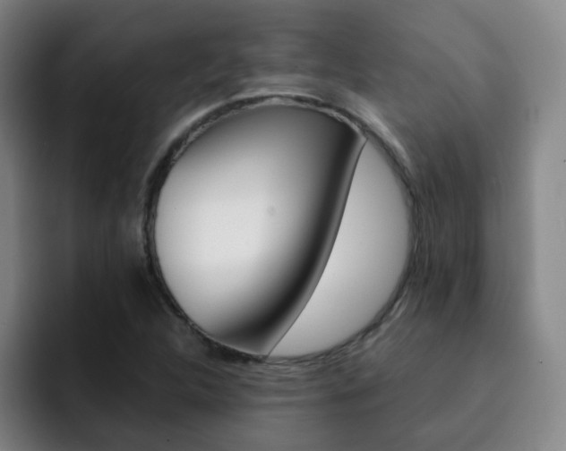 X0000093101312200709260920
