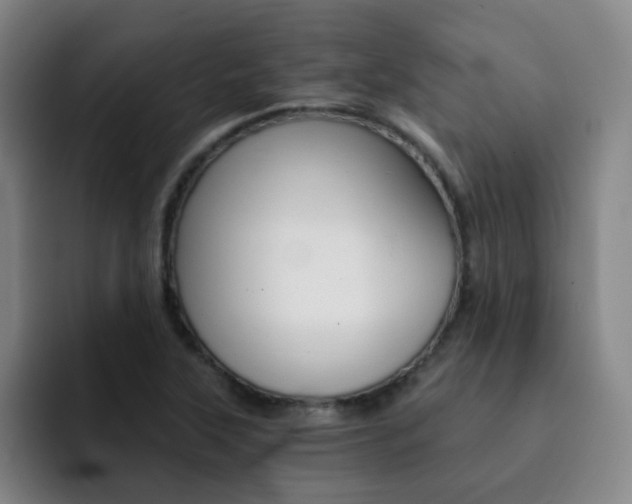 X0000093101315200709260920