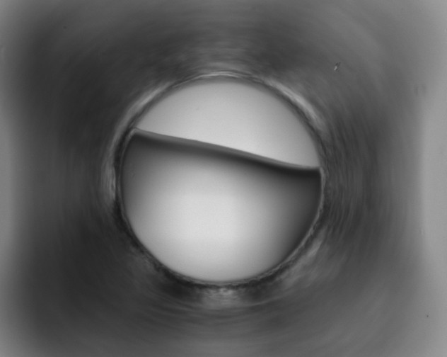 X0000093101317200709260920