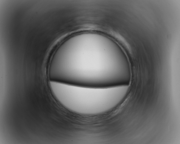 X0000093101318200709260920