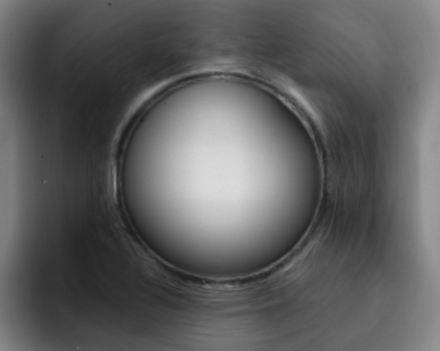 X0000093101320200709260920