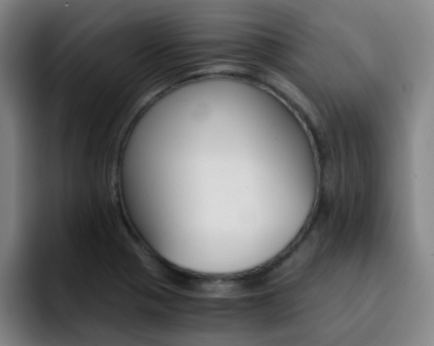 X0000093101321200709260920