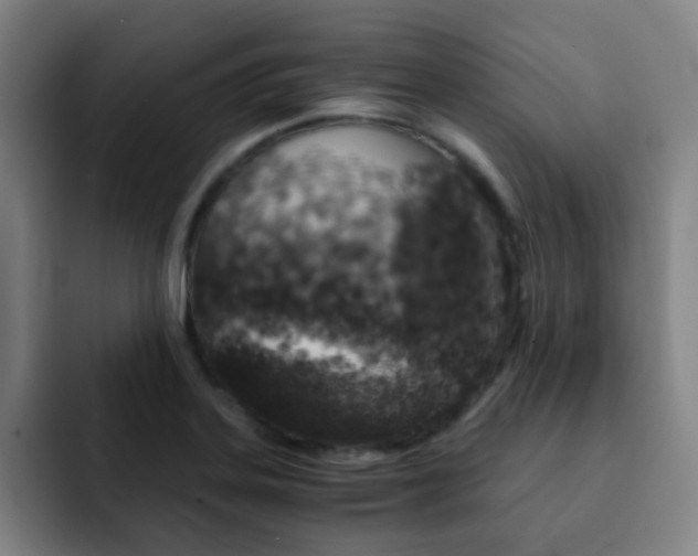 X0000093101323200709260920