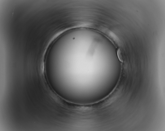 X0000093101324200709260920