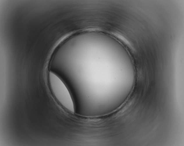 X0000093101325200709260920
