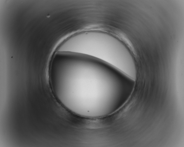 X0000093101328200709260920