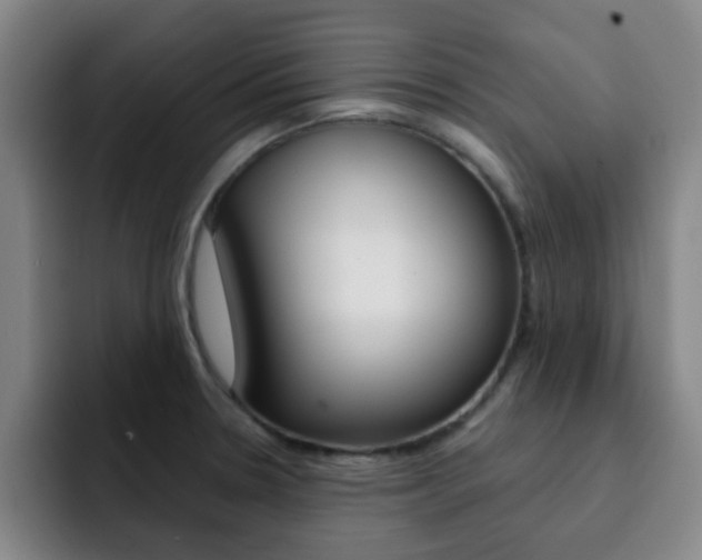 X0000093101330200709260920