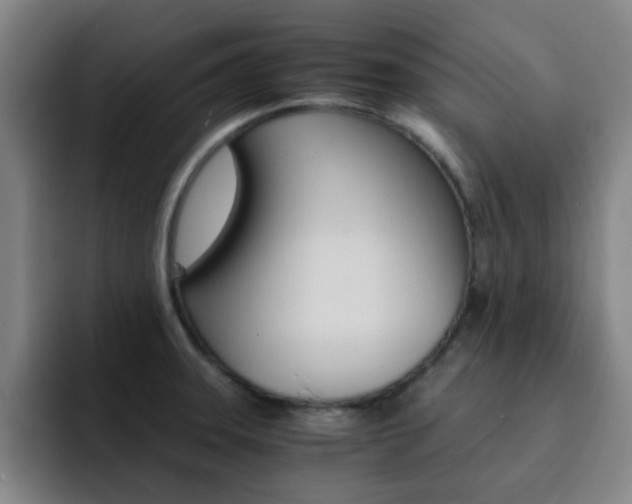 X0000093101331200709260920