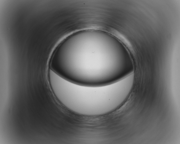 X0000093101332200709260920