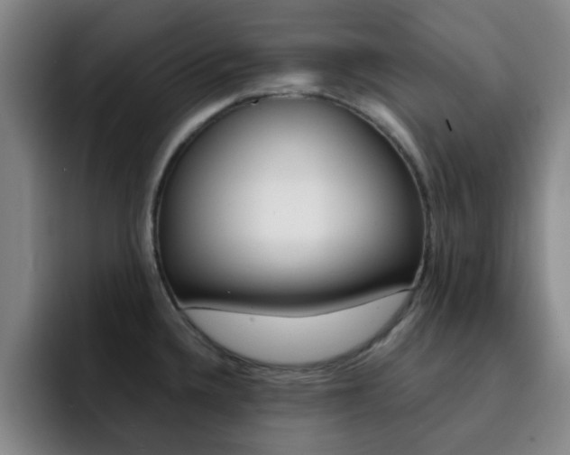 X0000093101336200709260920