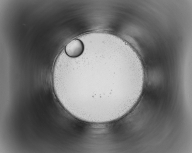 X0000093101338200709260920