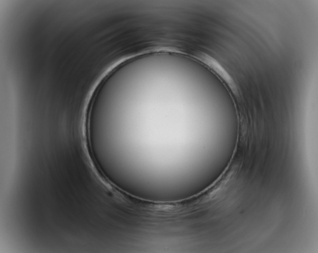 X0000093101339200709260920