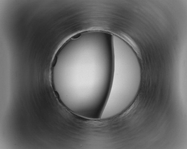 X0000093101340200709260920