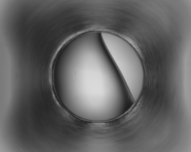 X0000093101342200709260920