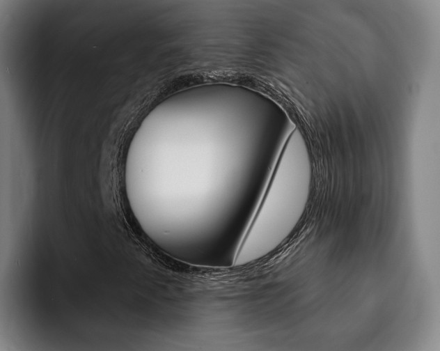 X0000093101345200709260920