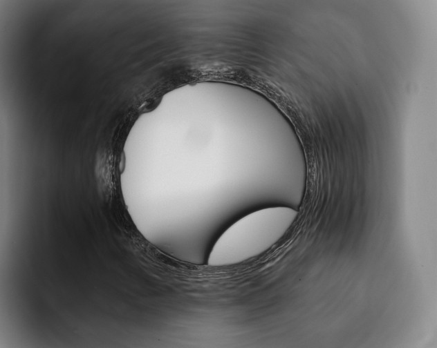 X0000093101346200709260920