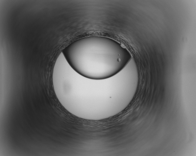 X0000093101348200709260919
