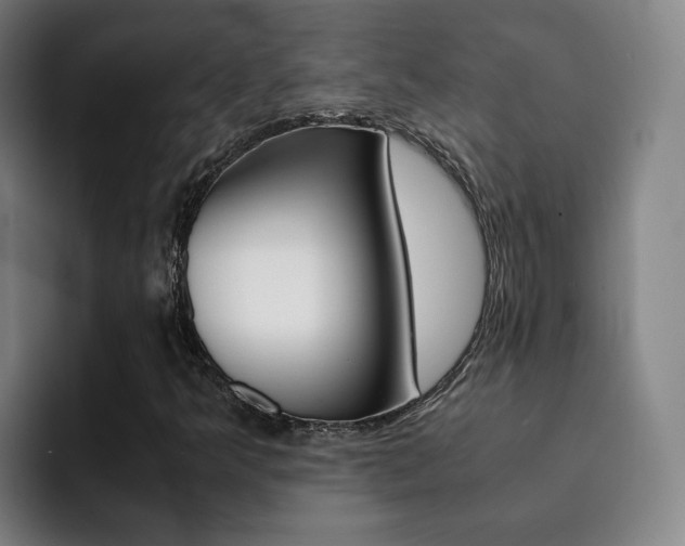 X0000093101349200709260919