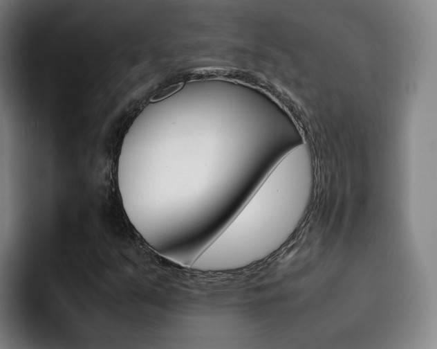 X0000093101351200709260919