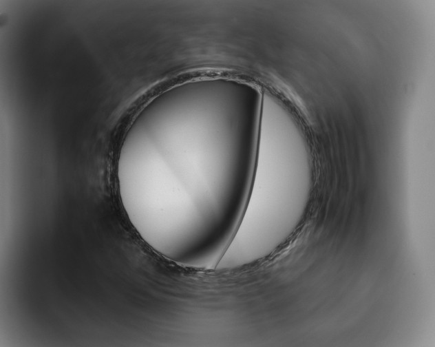 X0000093101352200709260919