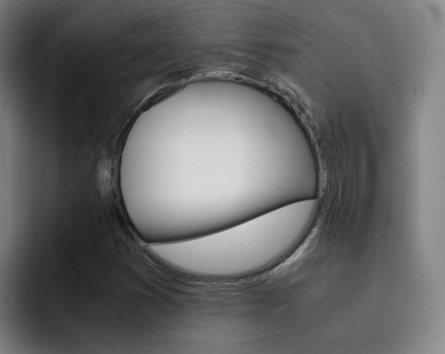 X0000093101353200709260919