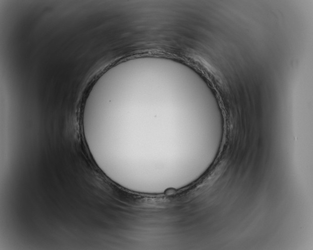 X0000093101354200709260919