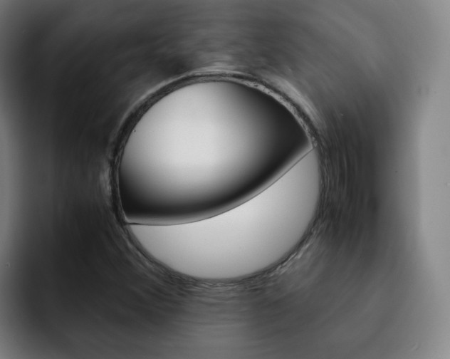 X0000093101356200709260919