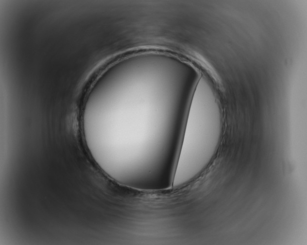 X0000093101360200709260919