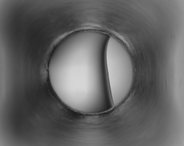 X0000093101363200709260919