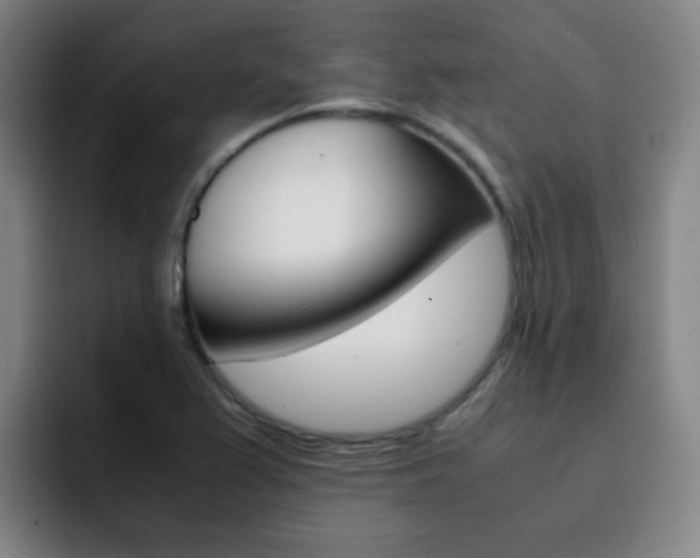 X0000093101367200709260919