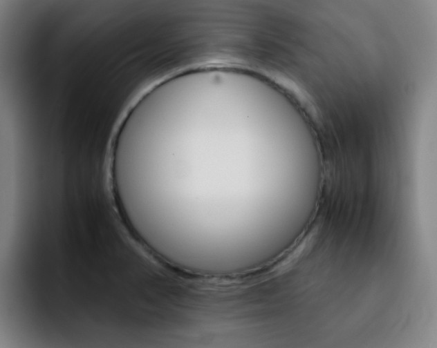 X0000093101374200709260919