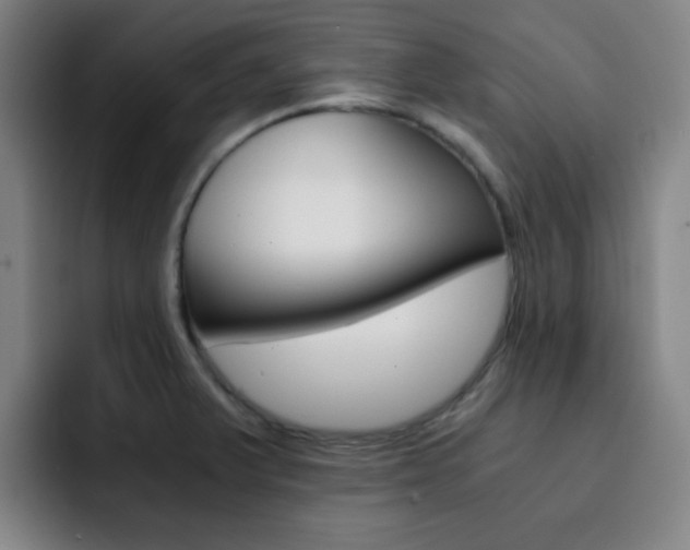 X0000093101375200709260919