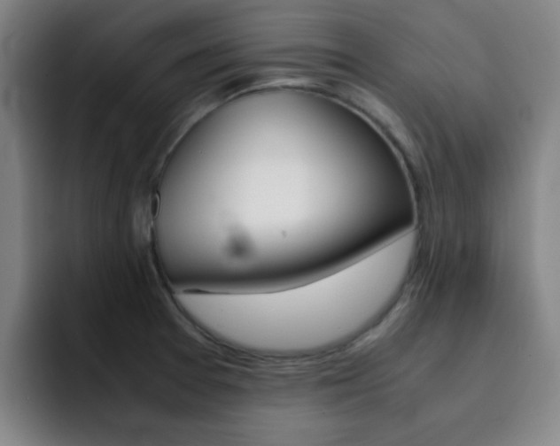 X0000093101377200709260919