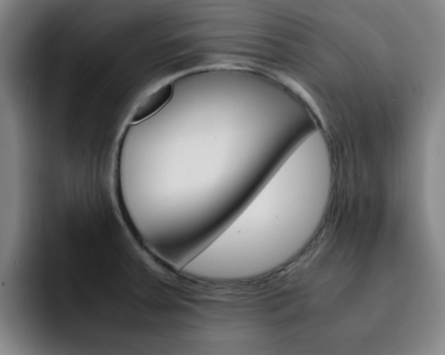 X0000093101379200709260919