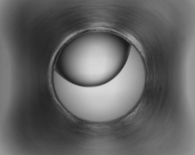 X0000093101384200709260919