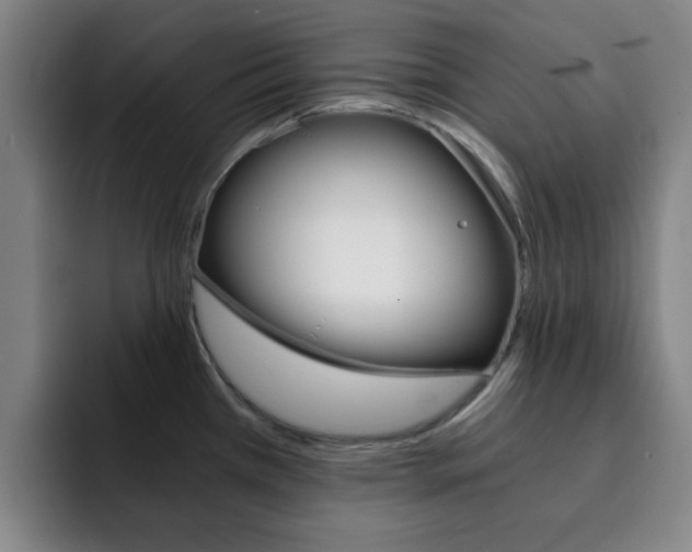 X0000093101385200709260919