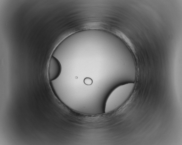 X0000093101386200709260919