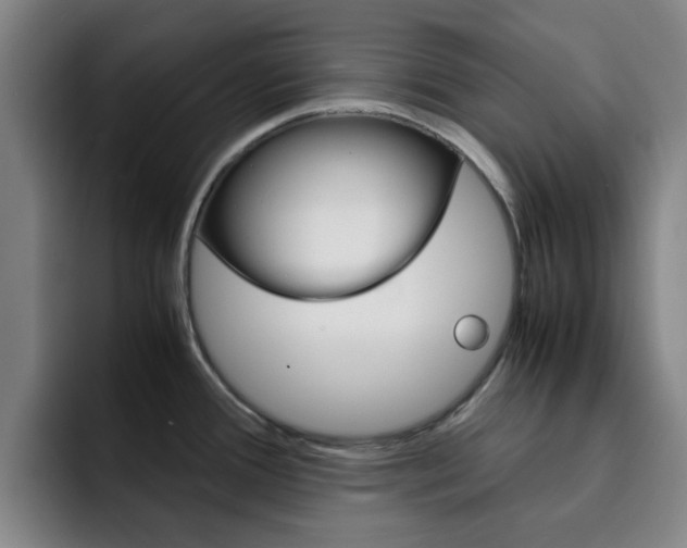 X0000093101388200709260919