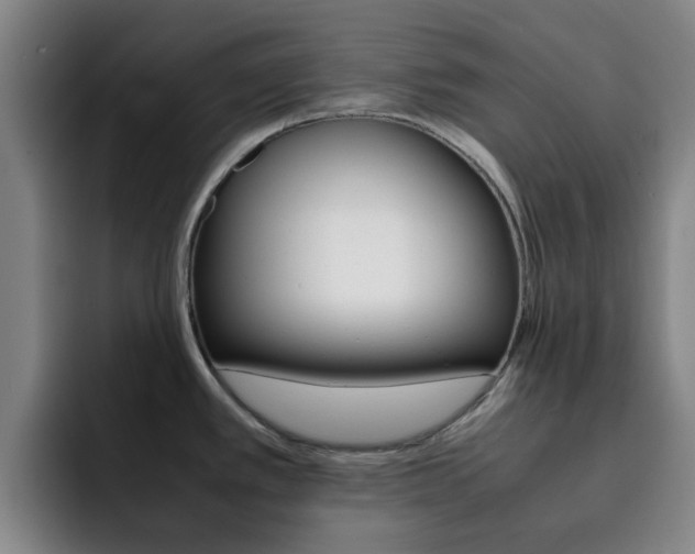 X0000093101389200709260919