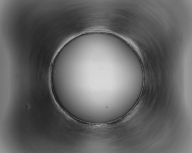 X0000093101390200709260919