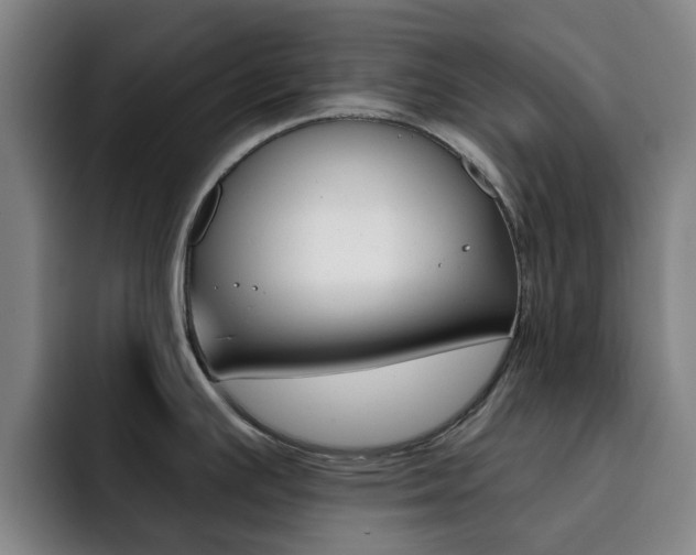 X0000093101391200709260919