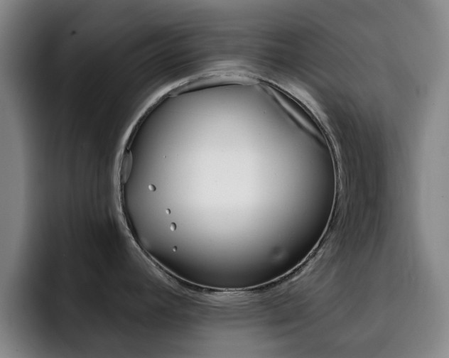 X0000093101392200709260919