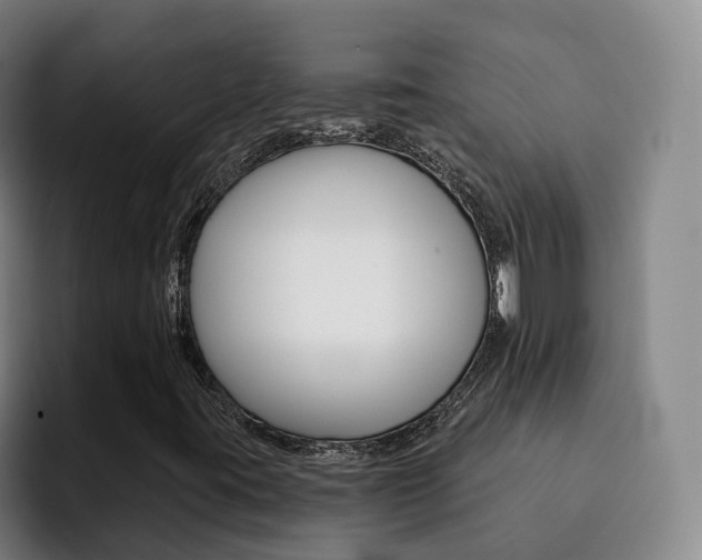 X0000093101395200709260918