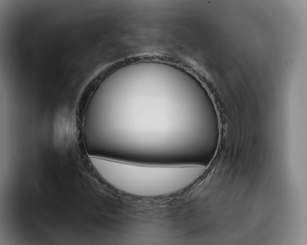 X0000093101400200709260918