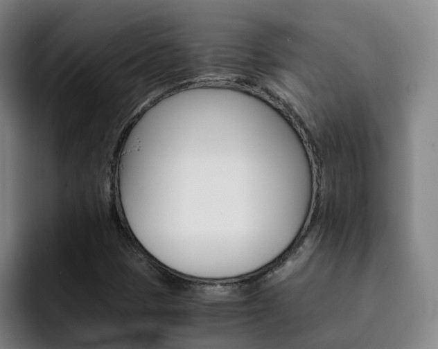 X0000093101401200709260919