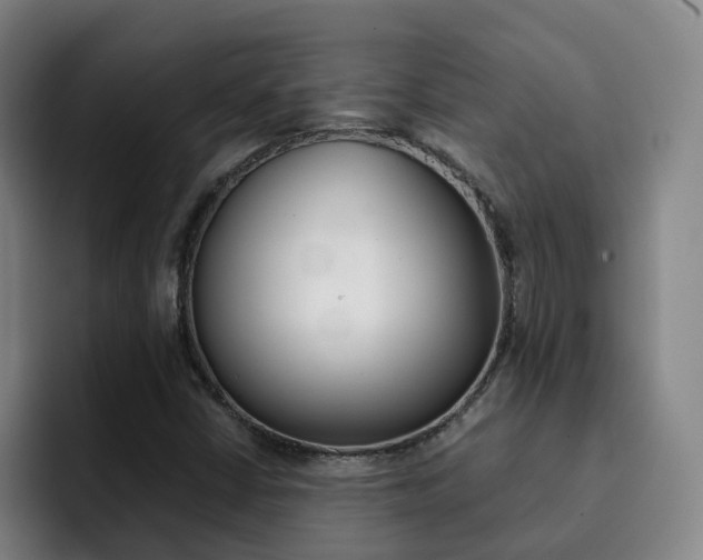 X0000093101402200709260919